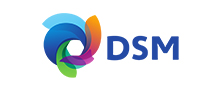 DSM